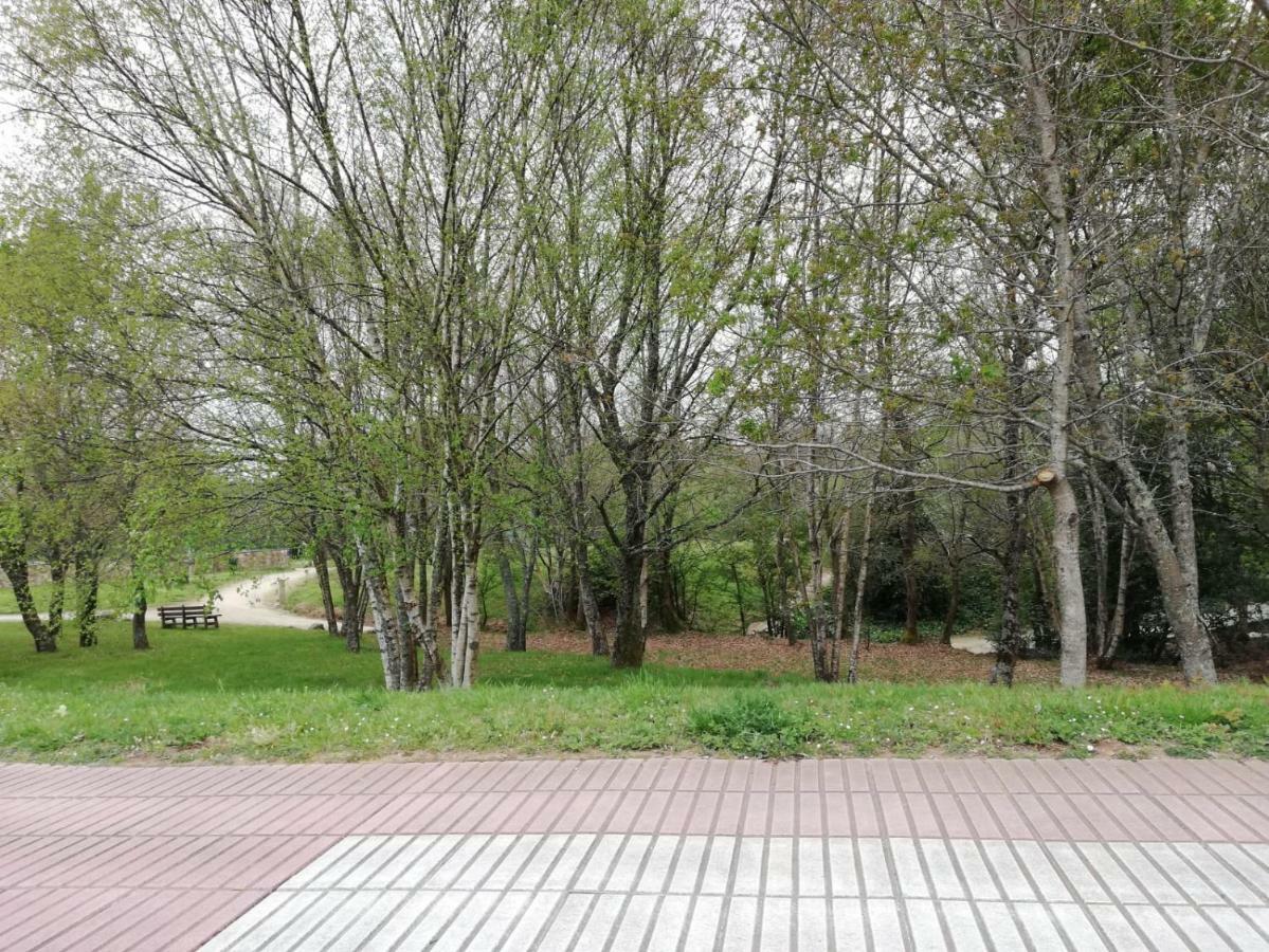 Apartamento SIGÜEIRO CAMINO INGLÉS  Sigueiro Extérieur photo